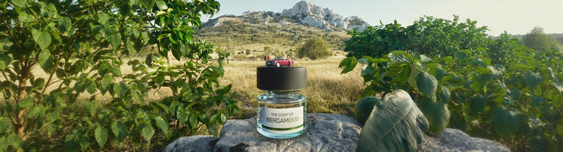 BMW The Scent Of Bergamood