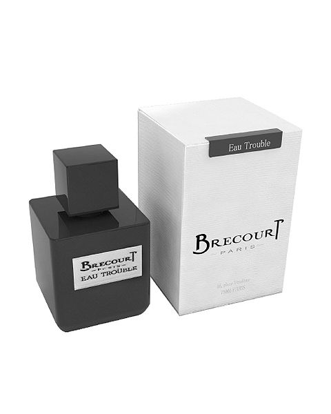 Brecourt Eau Trouble Eau de Parfum 100 ml